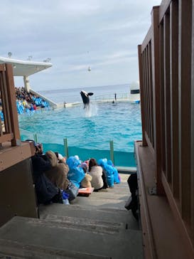 鴨川シーワールドに投稿された画像（2024/1/4）