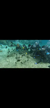 武藤潜水に投稿された画像（2024/1/4）