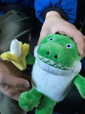 熱川バナナワニ園に投稿された画像（2024/1/4）