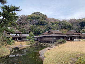 三溪園に投稿された画像（2024/1/4）