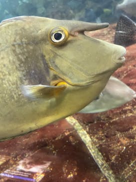 鴨川シーワールドに投稿された画像（2024/1/4）