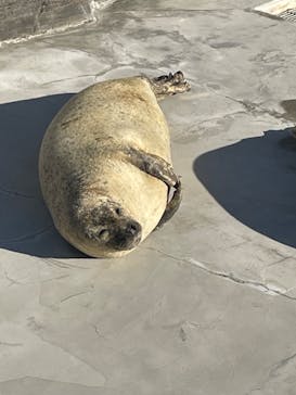 鴨川シーワールドに投稿された画像（2024/1/4）