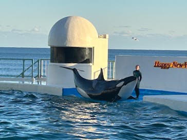 鴨川シーワールドに投稿された画像（2024/1/4）