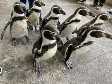 城崎マリンワールドに投稿された画像（2024/1/4）