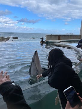 城崎マリンワールドに投稿された画像（2024/1/4）