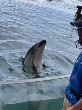 城崎マリンワールドに投稿された画像（2024/1/4）