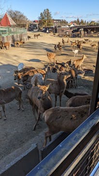 那須サファリパークに投稿された画像（2024/1/4）