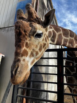 宇都宮動物園に投稿された画像（2024/1/4）