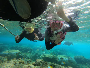 武藤潜水に投稿された画像（2024/1/4）