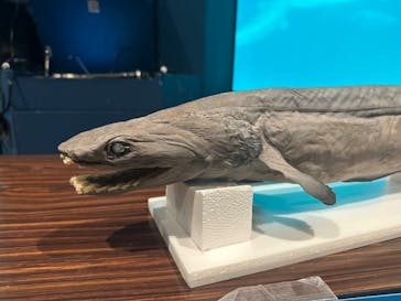 鴨川シーワールドに投稿された画像（2024/1/4）