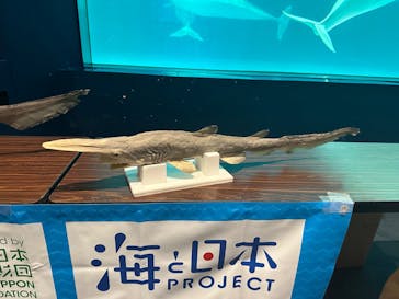 鴨川シーワールドに投稿された画像（2024/1/4）