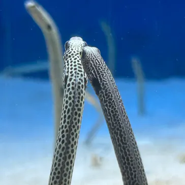 仙台うみの杜水族館に投稿された画像（2024/1/4）