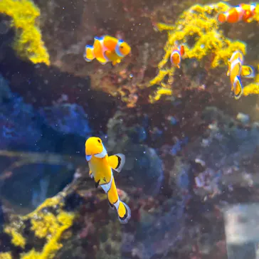 仙台うみの杜水族館に投稿された画像（2024/1/4）