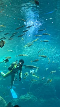 新江ノ島水族館に投稿された画像（2024/1/4）