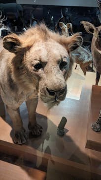 国立科学博物館に投稿された画像（2024/1/4）