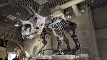 国立科学博物館に投稿された画像（2024/1/4）