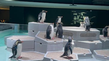 AOAO SAPPOROに投稿された画像（2024/1/4）