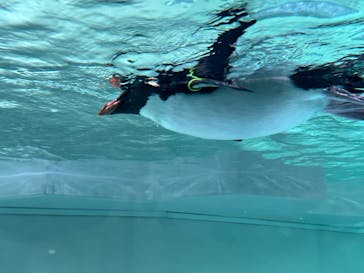 AOAO SAPPOROに投稿された画像（2024/1/4）