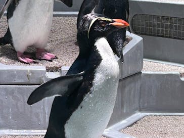 AOAO SAPPOROに投稿された画像（2024/1/4）