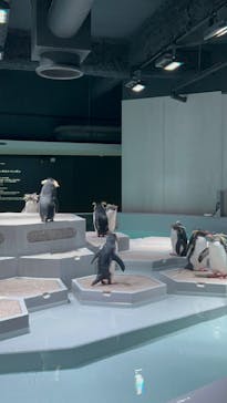 AOAO SAPPOROに投稿された画像（2024/1/4）