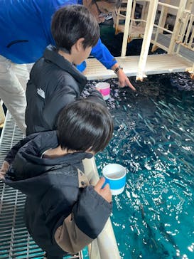 マリンワールド海の中道に投稿された画像（2024/1/4）