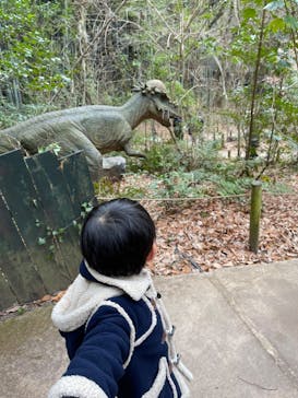 みろくの里に投稿された画像（2024/1/4）