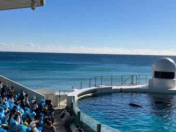 鴨川シーワールドに投稿された画像（2024/1/4）