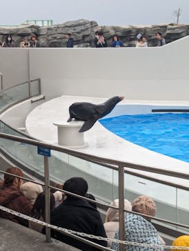 鴨川シーワールドに投稿された画像（2024/1/4）