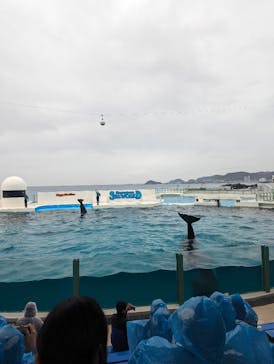 鴨川シーワールドに投稿された画像（2024/1/4）