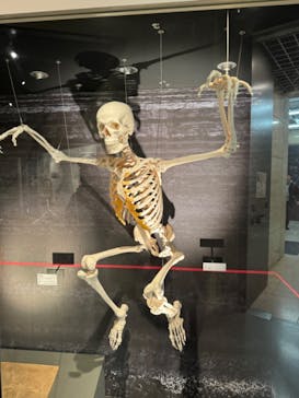 国立科学博物館に投稿された画像（2024/1/4）