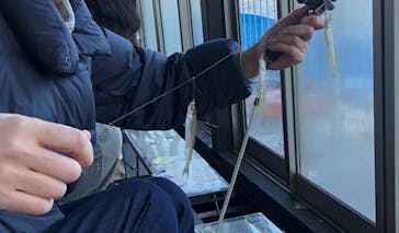 NaturaBaseに投稿された画像（2024/1/4）