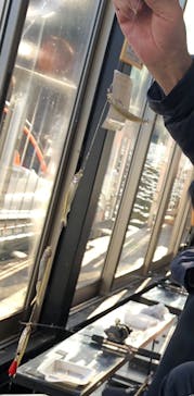 NaturaBaseに投稿された画像（2024/1/4）