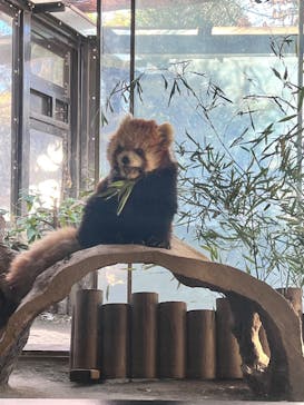 よこはま動物園ズーラシアに投稿された画像（2024/1/4）