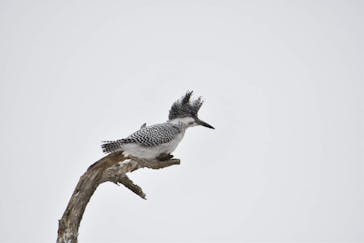 East powerに投稿された画像（2024/1/4）