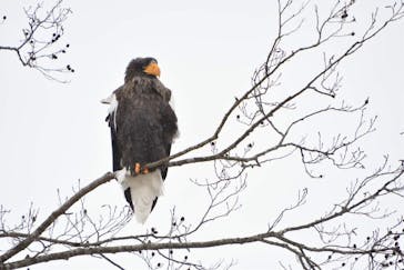 East powerに投稿された画像（2024/1/4）