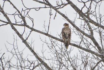East powerに投稿された画像（2024/1/4）