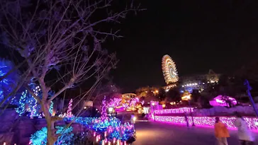 ひらかたパークに投稿された画像（2024/1/4）