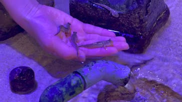 南知多ビーチランド＆南知多おもちゃ王国に投稿された画像（2024/1/4）