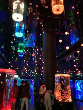 マクセル アクアパーク品川に投稿された画像（2024/1/4）