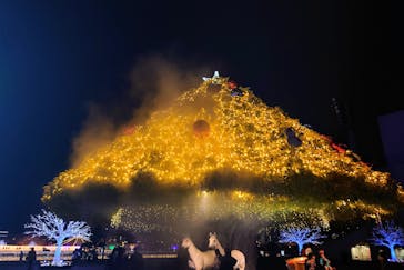 東京メガイルミに投稿された画像（2024/1/4）