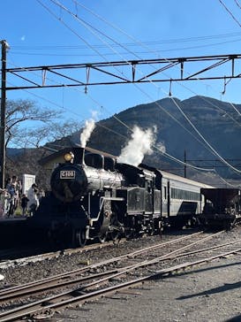 大井川鐵道株式会社に投稿された画像（2024/1/4）