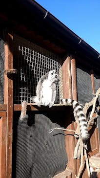 神戸どうぶつ王国に投稿された画像（2024/1/4）