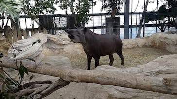 神戸どうぶつ王国に投稿された画像（2024/1/4）