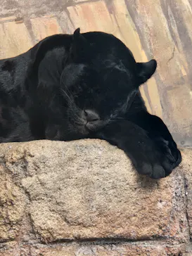 天王寺動物園に投稿された画像（2024/1/4）