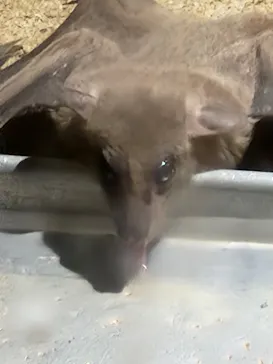 天王寺動物園に投稿された画像（2024/1/4）