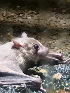 天王寺動物園に投稿された画像（2024/1/4）