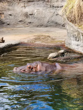 天王寺動物園に投稿された画像（2024/1/4）
