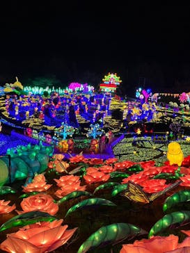 伊豆ぐらんぱる公園に投稿された画像（2024/1/4）