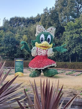 レオマリゾートに投稿された画像（2024/1/4）