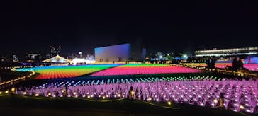 東京メガイルミに投稿された画像（2024/1/4）